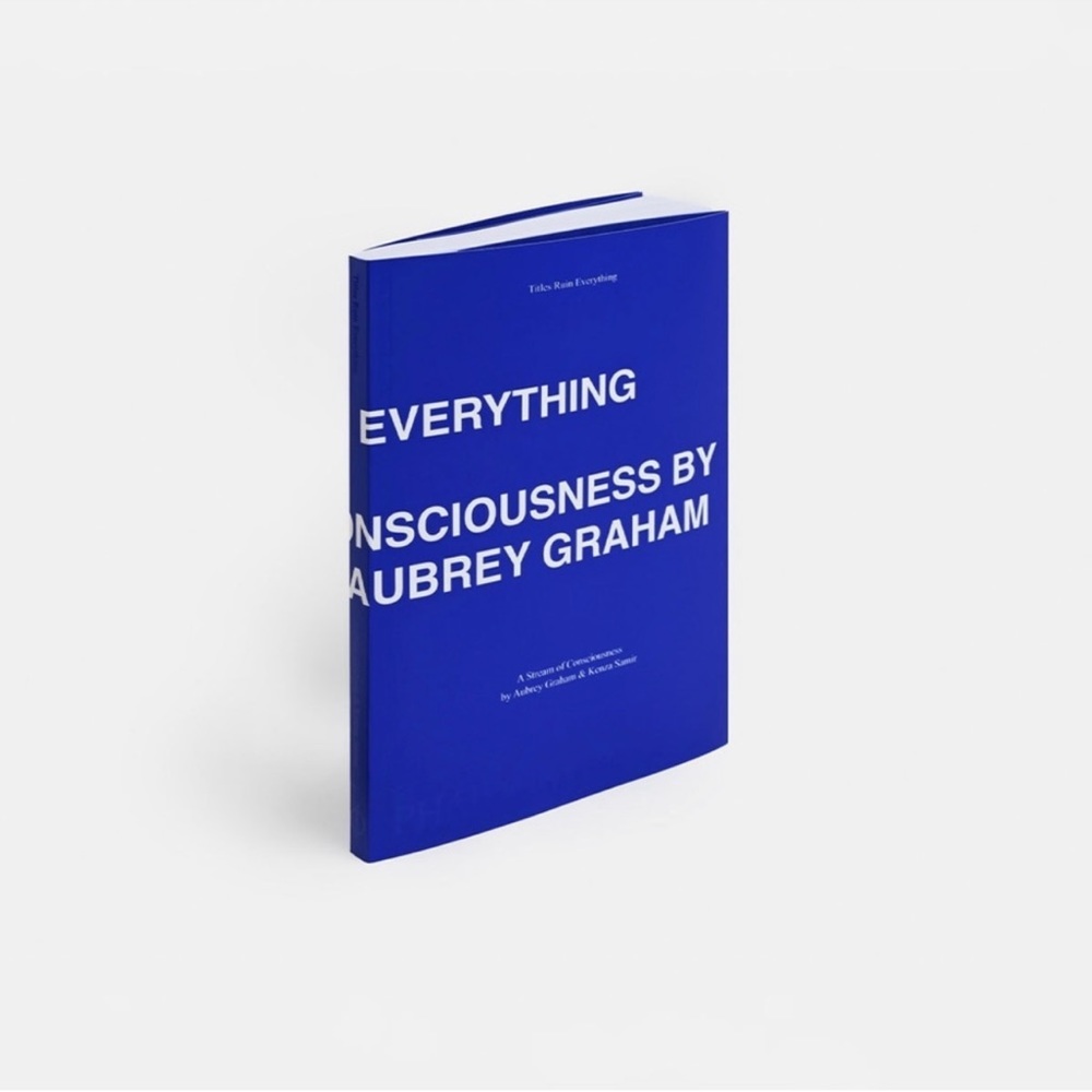PHAIDON TITLES RUIN EVERYTHING: A STREAM OF CONSCIOUSNESS - Picture 4 of 4